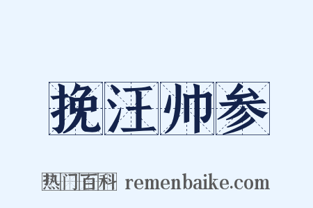 挽汪帅参是什么意思的图片